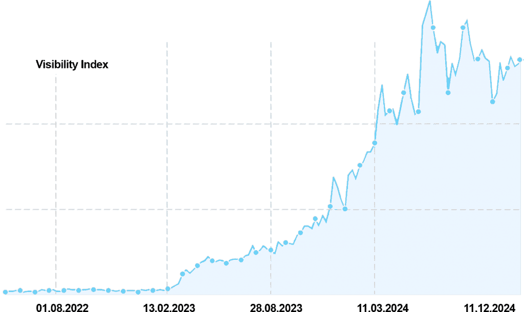 SEO-Erfolg nach 1 Jahr Arbeit – Grafik zeigt Fortschritte und Ergebnisse